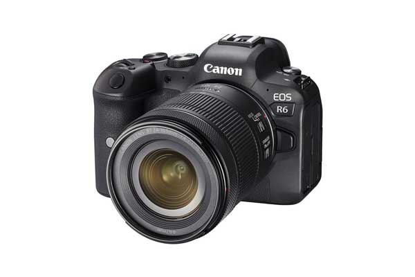 Beste Kamera für Familienfotos 2022 - Canon EOS R6 Workshop Foto